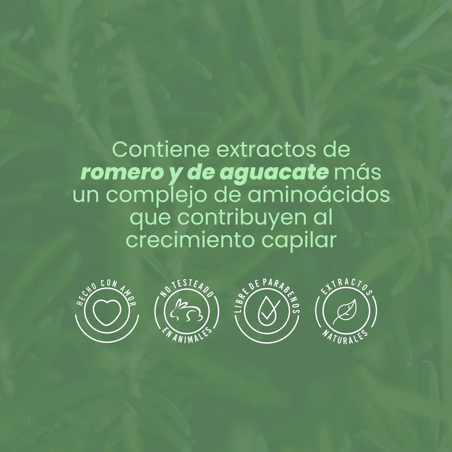 BIOTERAPIA CAPILAR CON ROMERO Y BIOELIXIR ANYELUZ