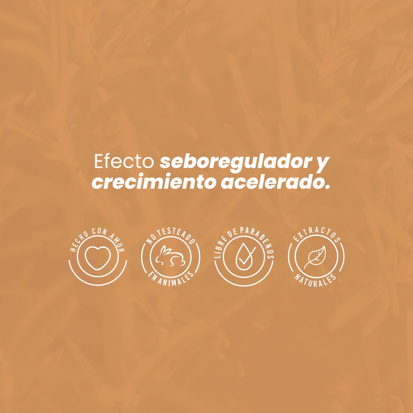 POTENCIALIZADOR DE ROMERO ANYELUZ