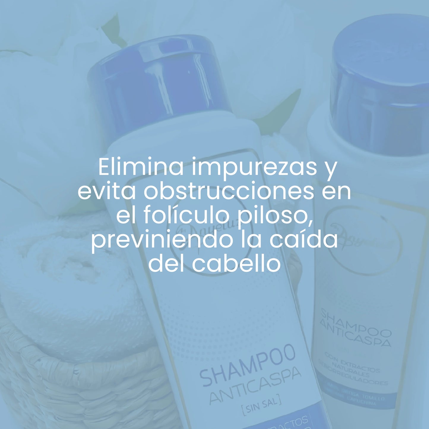 SHAMPOO ANTICASPA